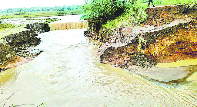 ముంచెత్తిన వాన1