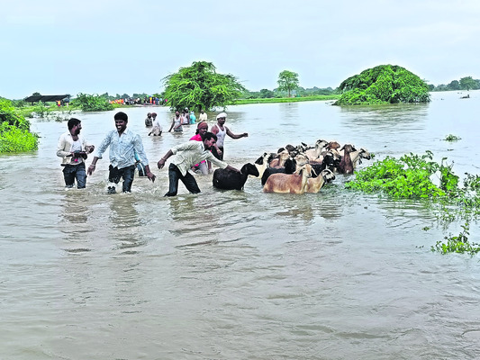 నదిలో చిక్కుకున్న గొర్రెల కాపరులు2