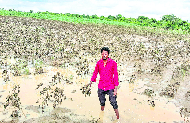 రూ.80 వేల నష్టం..1