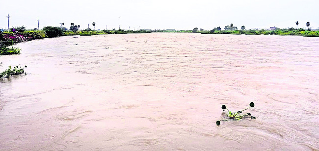 పంటలు వర్షార్పణం 1