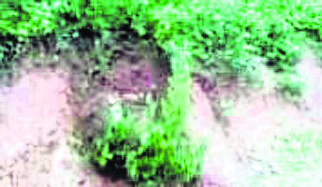 మల్కన్‌గిరిలో భారీ వర్షం 5