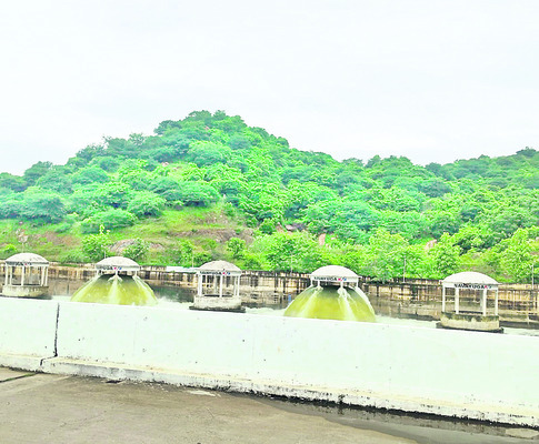 యూరియా కోసం బారులు 1