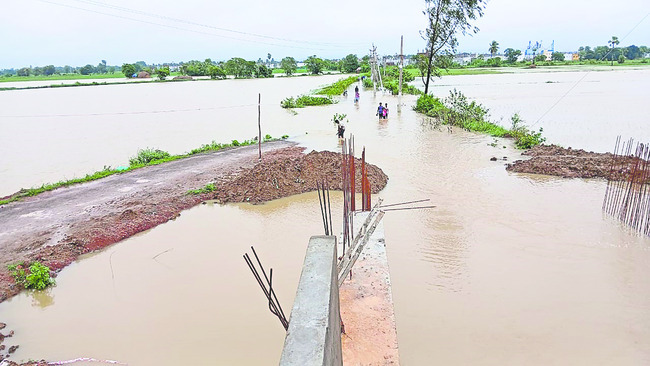 నాట్లు.. పాట్లు1