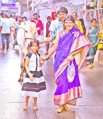 చెరుకు రైతుకు రవాణా భారం 2