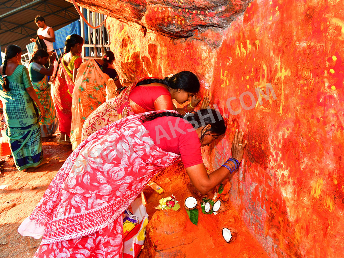 World Photography Day 2025 Special Photos in Sakshi25