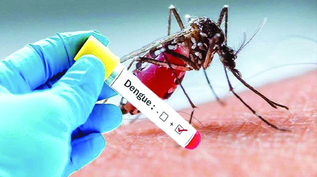 డెంగీ డేంజర్బెల్స్2
