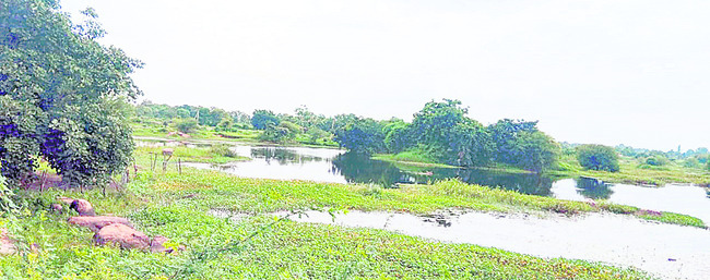చెరువులు నిండలే! 1