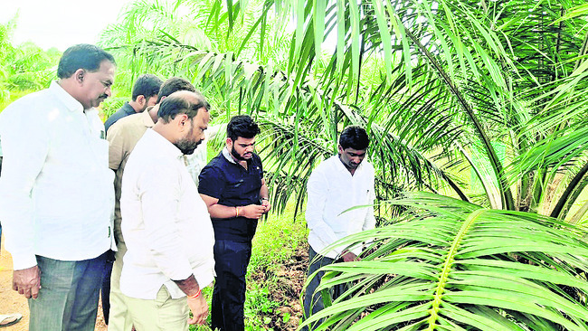 పెద్దమ్మతల్లికి పంచామృతాభిషేకం1