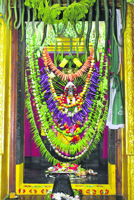 ఫ శాఖాంబరిగా..1