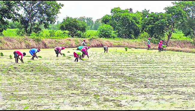 వినూత్న సాగుతో ఆదర్శంగా..!2