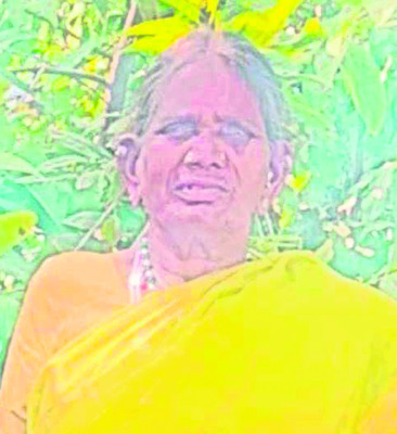 వాహనం ఢీకొని వృద్ధురాలు మృతి 1