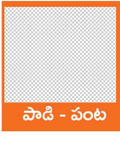 ఆలస్యమైతే వెదజల్లే పద్ధతే మేలు 3