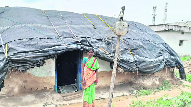 గూడు.. తీరొక్క గోడు! 2