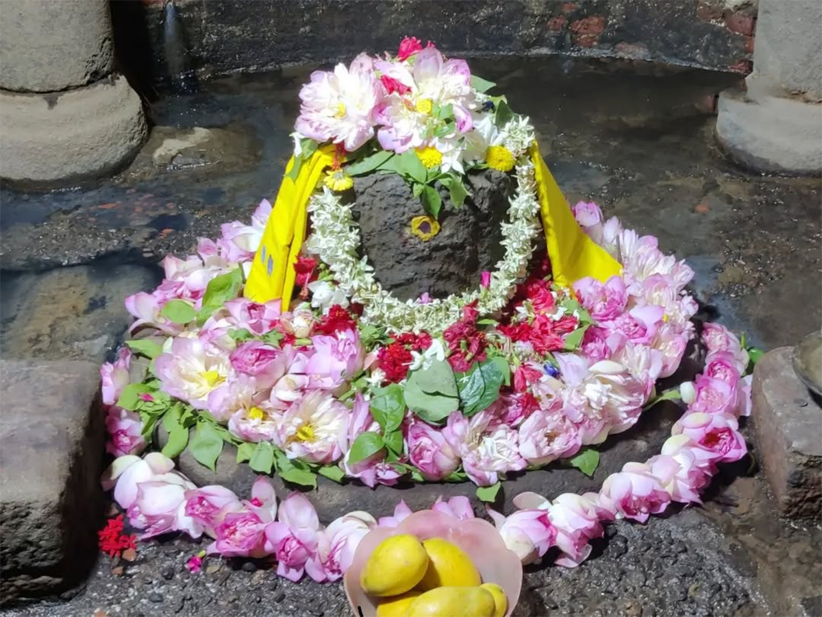 Natta Rameswara Temple Penumantra West Godavari District15
