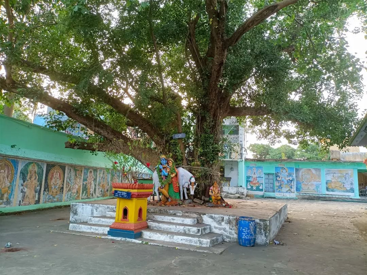 Natta Rameswara Temple Penumantra West Godavari District20