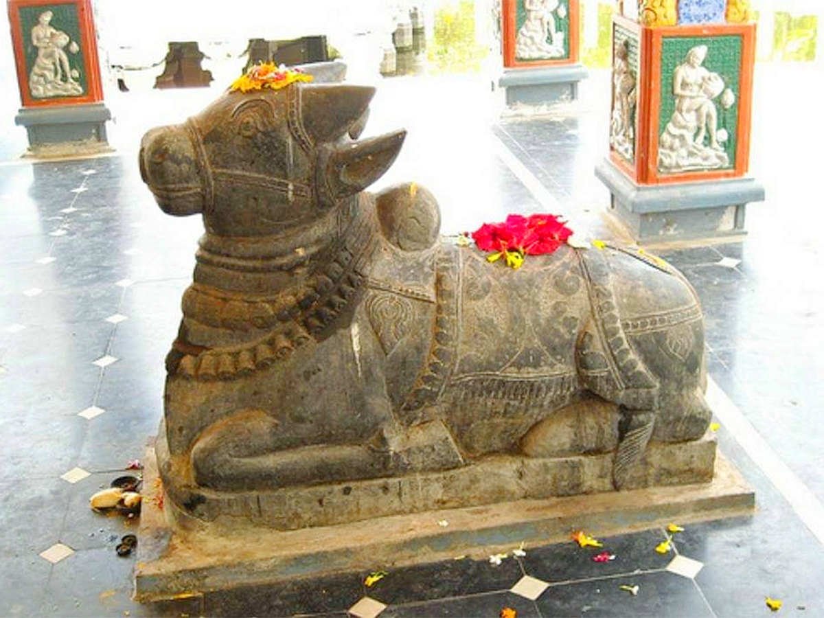 Natta Rameswara Temple Penumantra West Godavari District6