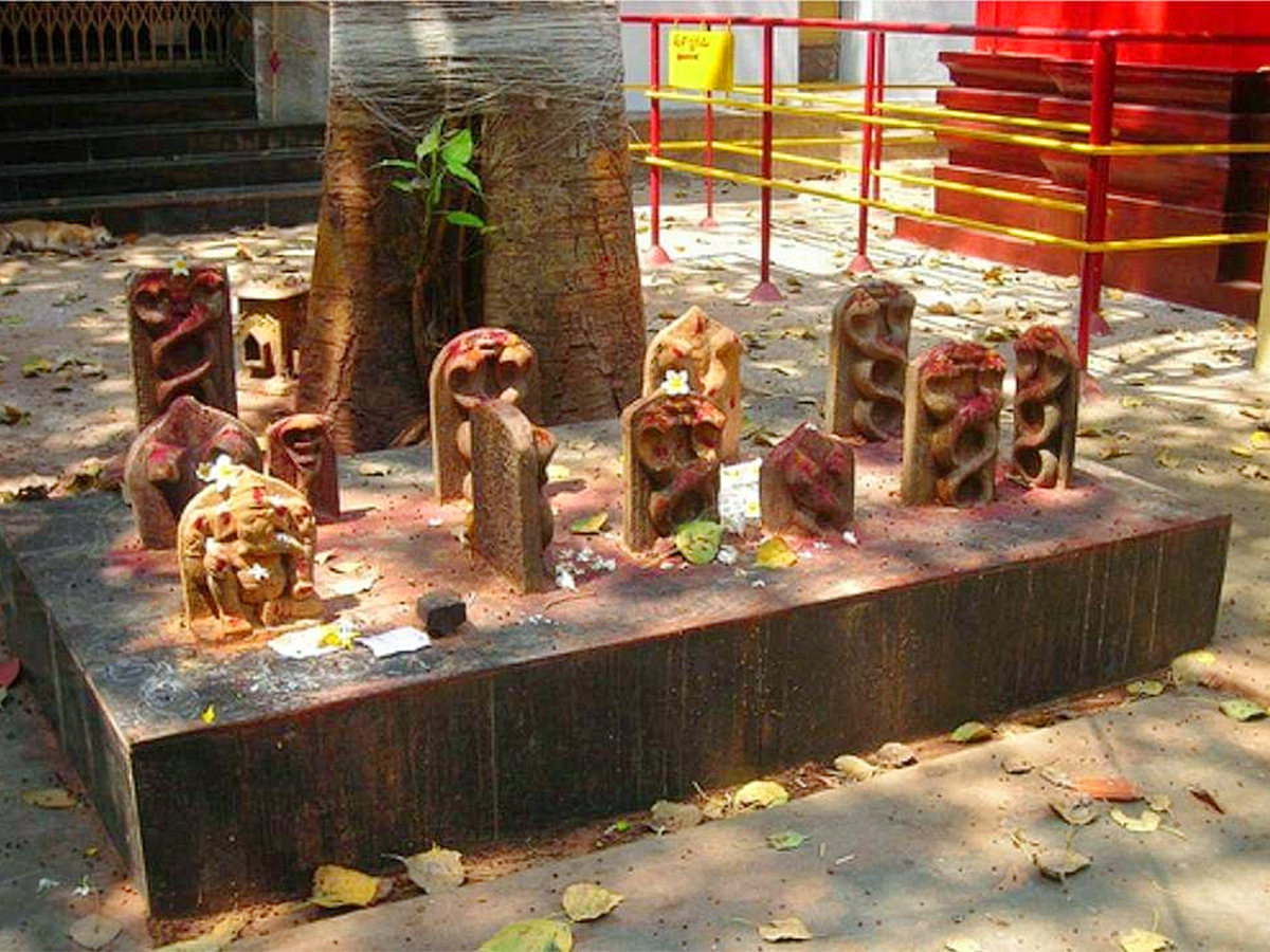 Natta Rameswara Temple Penumantra West Godavari District8
