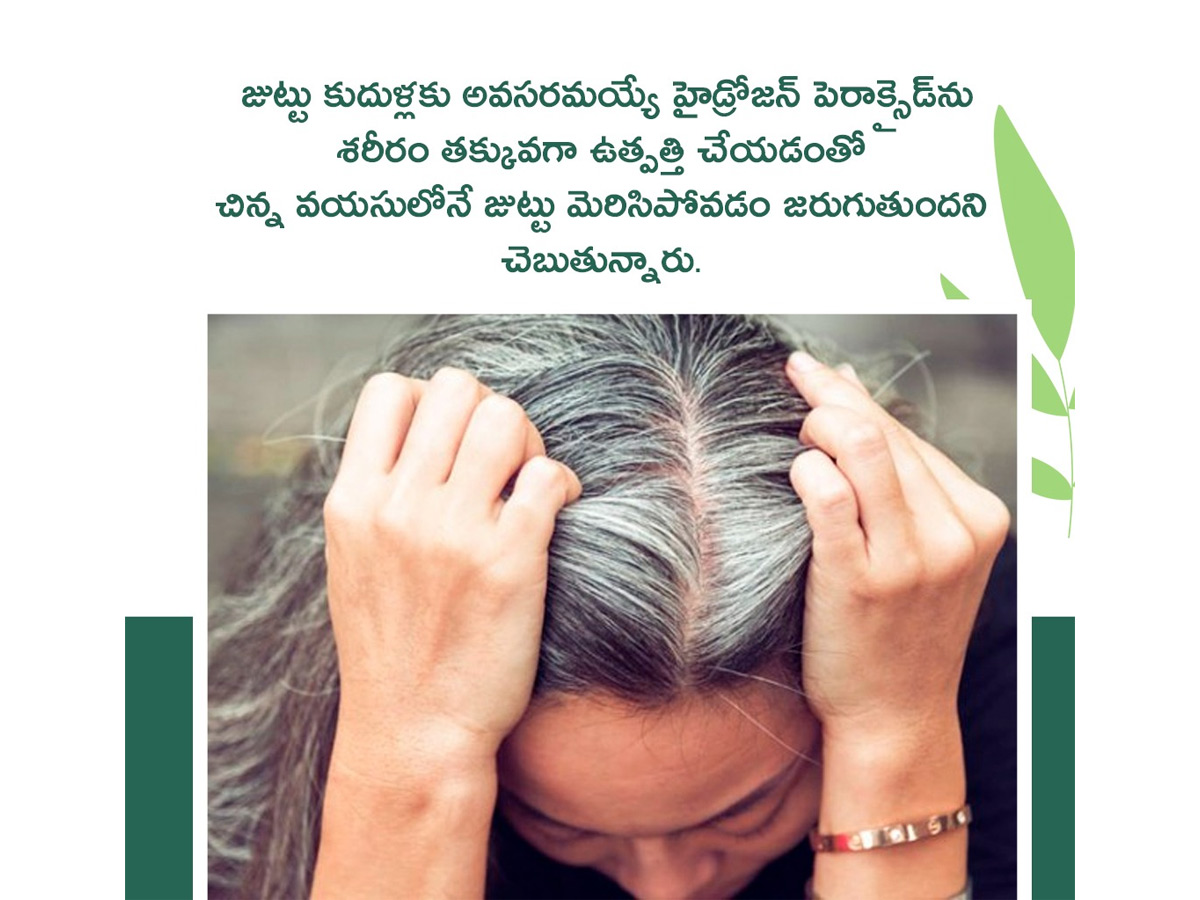 Premature Greying Hair And Experts Said How To Reverse Photos2