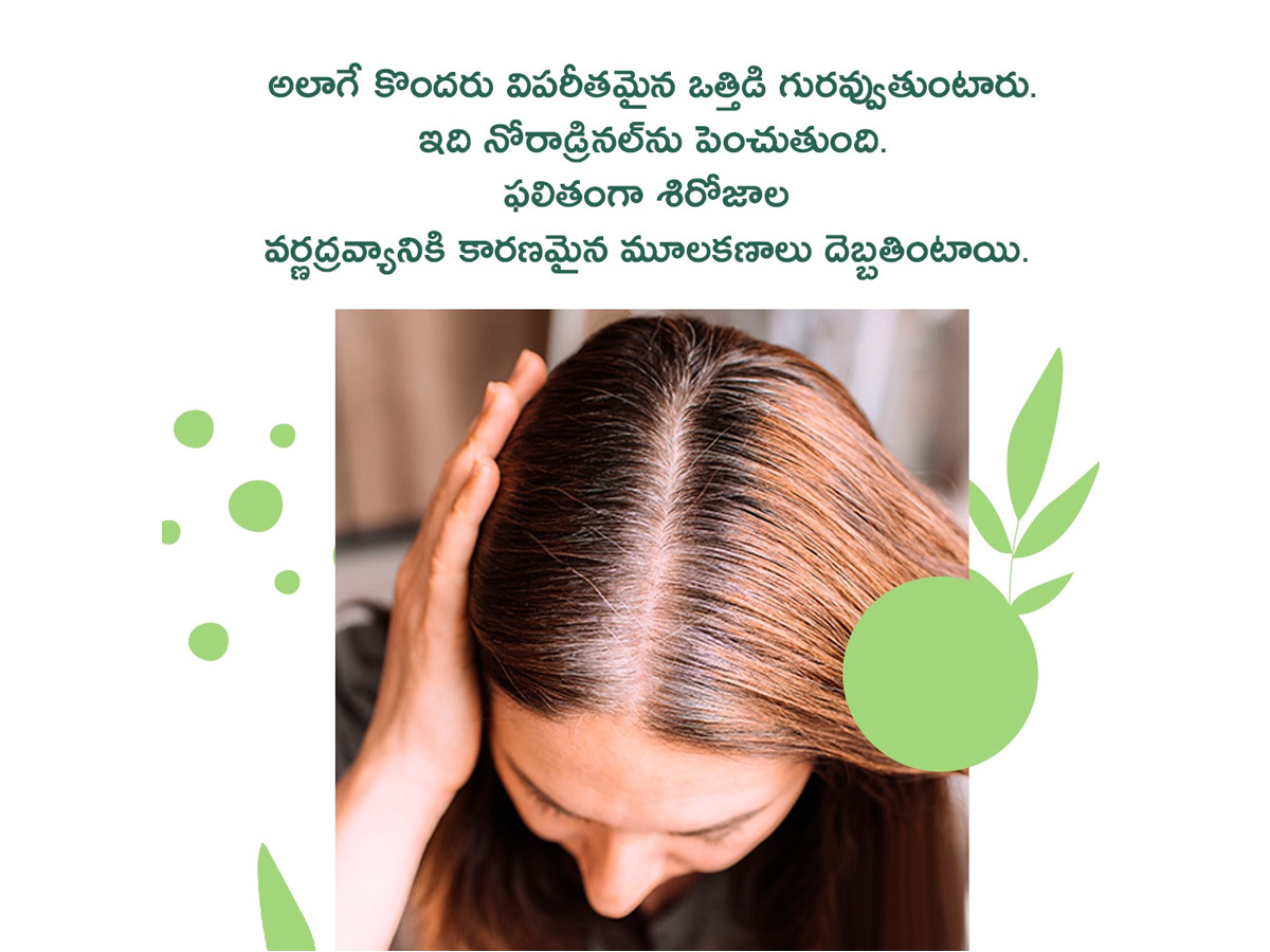 Premature Greying Hair And Experts Said How To Reverse Photos4