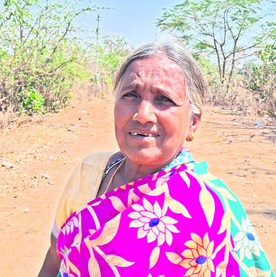 అడవిలో తప్ప బయట బతకలేం 
1