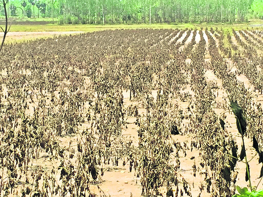 వరద గండం3