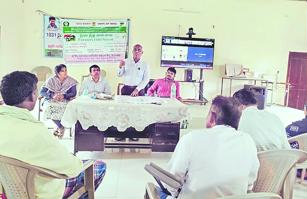 మహ్మద్‌నగర్‌వాసికి జాతీయ అవార్డు
1