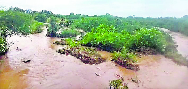 రేపు మంత్రి పర్యటన
1