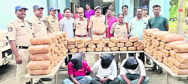మూడు చోట్ల భారీగా గంజాయి స్వాధీనం 1