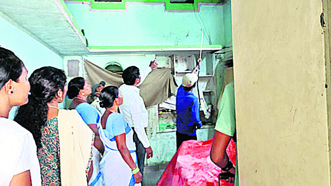 జీవి చిన్నదే.. ప్రమాదం పెద్దది1