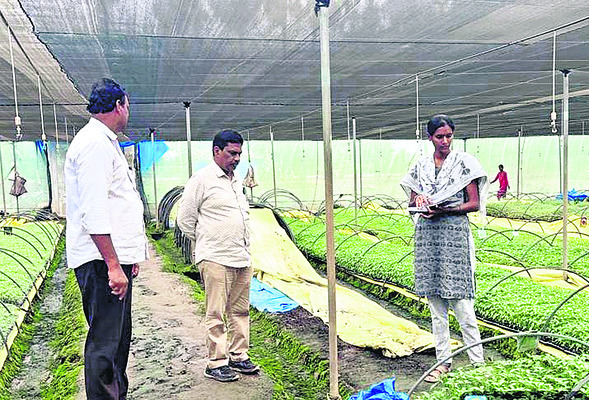 జాతీయ సీనియర్‌  అథ్లెటిక్స్‌ మీట్‌కు ఎంపిక1