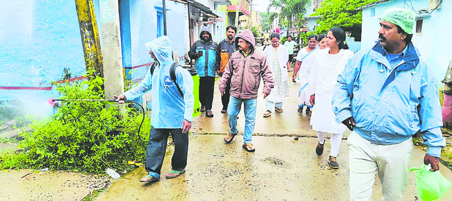 డెంగీ నివారణకు చర్యలు 
2