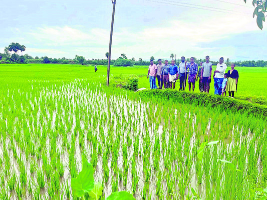 మేలుకోకుంటే నష్టం1