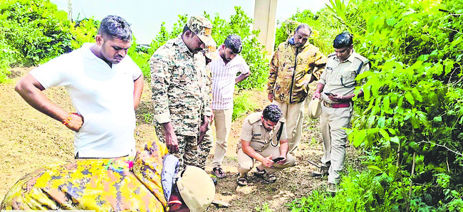 పులి జాడ కోసం గాలింపు 1