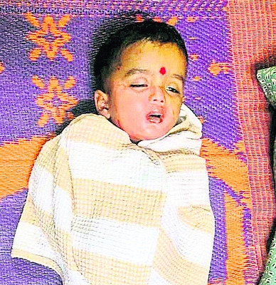 అవసరమైన మేరకే   ఎరువులు వాడాలి 2