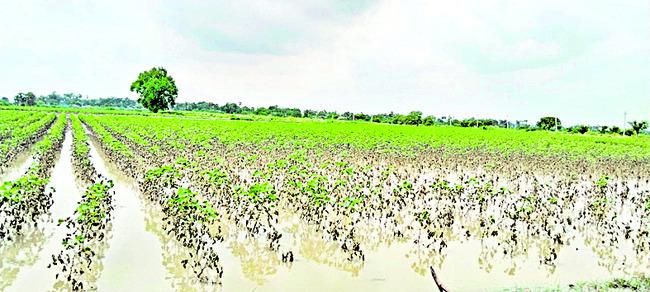చిన్న వర్షానికే మునక 1