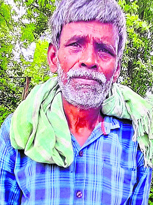 బాబ్బాబు... యూరియా ఇప్పించండి..! 3
