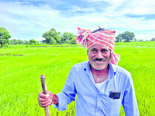 వరిలో కొత్త రకం కలుపు మొక్కలు1