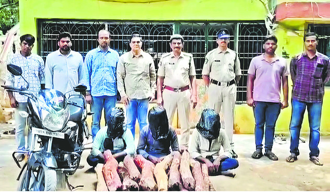 పనులు వేగవంతం చేయండి
1