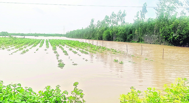 గోదా‘వర్రీ’..!1