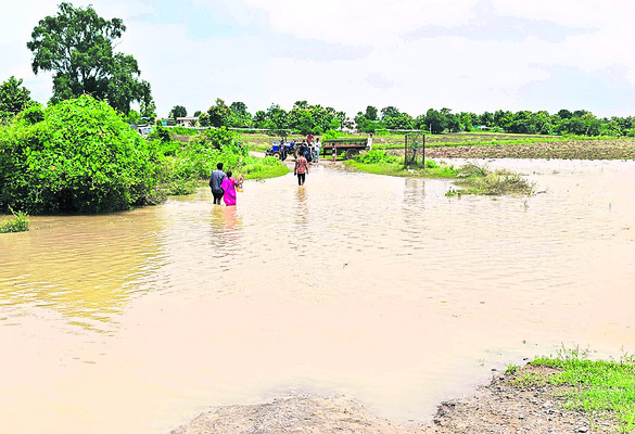 శాంతించిన గోదావరి1