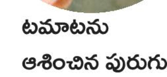 ఉద్యాన పంటల్లో సస్యరక్షణ 5