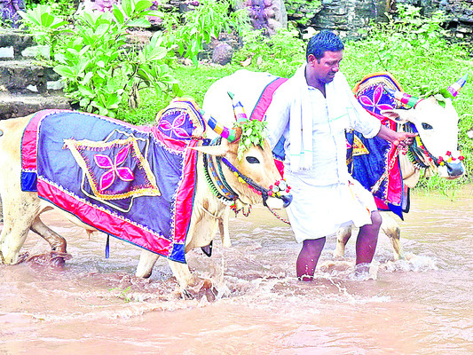 కుమురం భీం3
