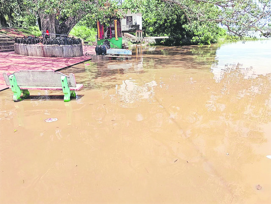వరద గోదావరి2