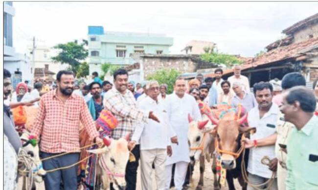 ఘనంగా ఎడ్ల పొలాల అమావాస్య1