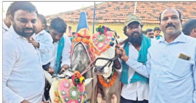 ఘనంగా ఎడ్ల పొలాల అమావాస్య3