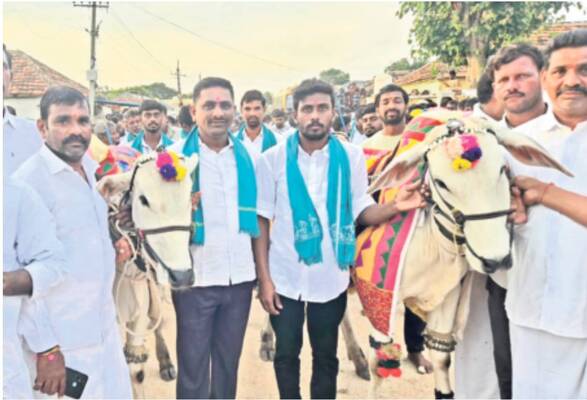 కాడెద్దుల సంబురం1