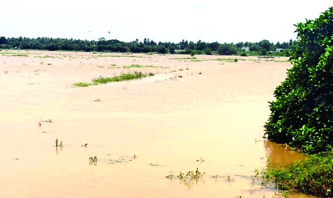 భయం గుప్పెట్లో లంక గ్రామాలు 1