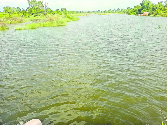 ఒడిసి పట్టక.. గోదారి ఒడికి1