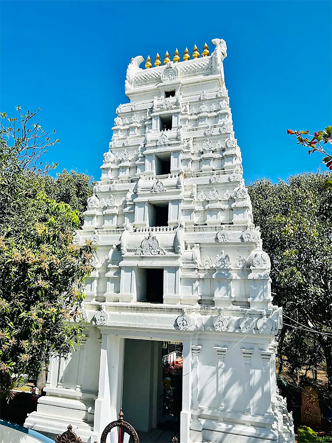 Devotional : Ratnaalayam Sri Venkateswara Swamy Temple Aliabad Telangana16