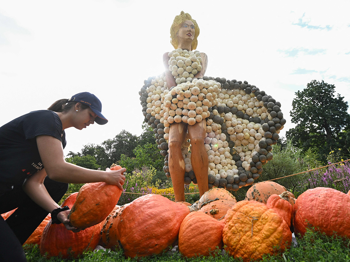 Pumpkin Festival Germany 2025 Photos1
